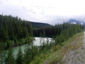 PNW Stream